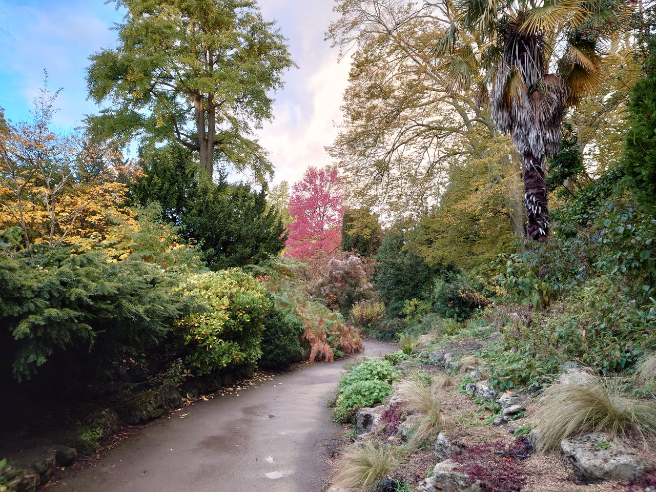 The Sony Xperia 5 II's wide camera
