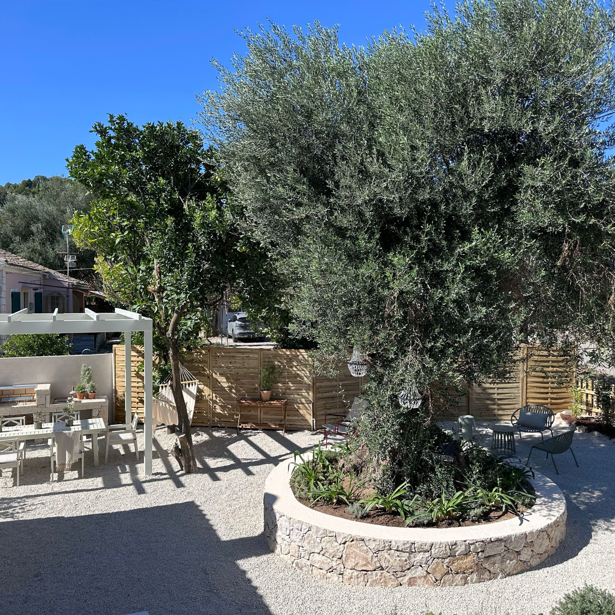 Olive tree with chandeliers hanging from its branches.