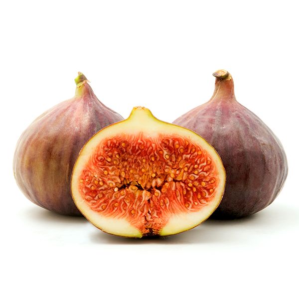 Brown Turkey Fig Tree - 2-3 Feet Bareroot