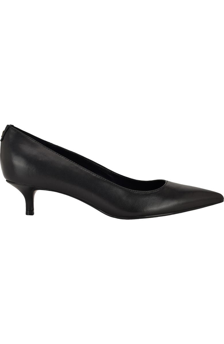 Roxanna Pointed Toe Pump