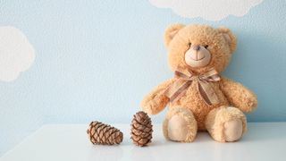 A teddy bear next to two pine cones