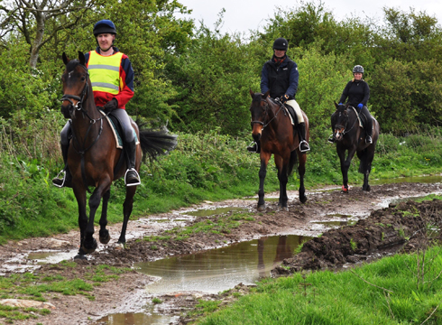 Horses head out for exercise as planned the morning after the fire