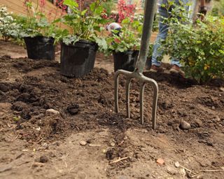 digging soil for planting