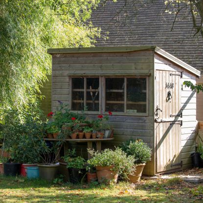 Potted plants on table next to wooden shed in garden