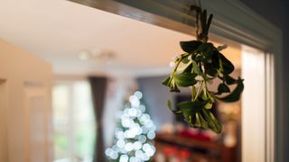 picture of mistletoe hanging in door frame