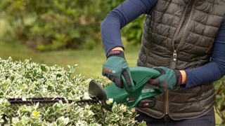 Image of person cutting hedge