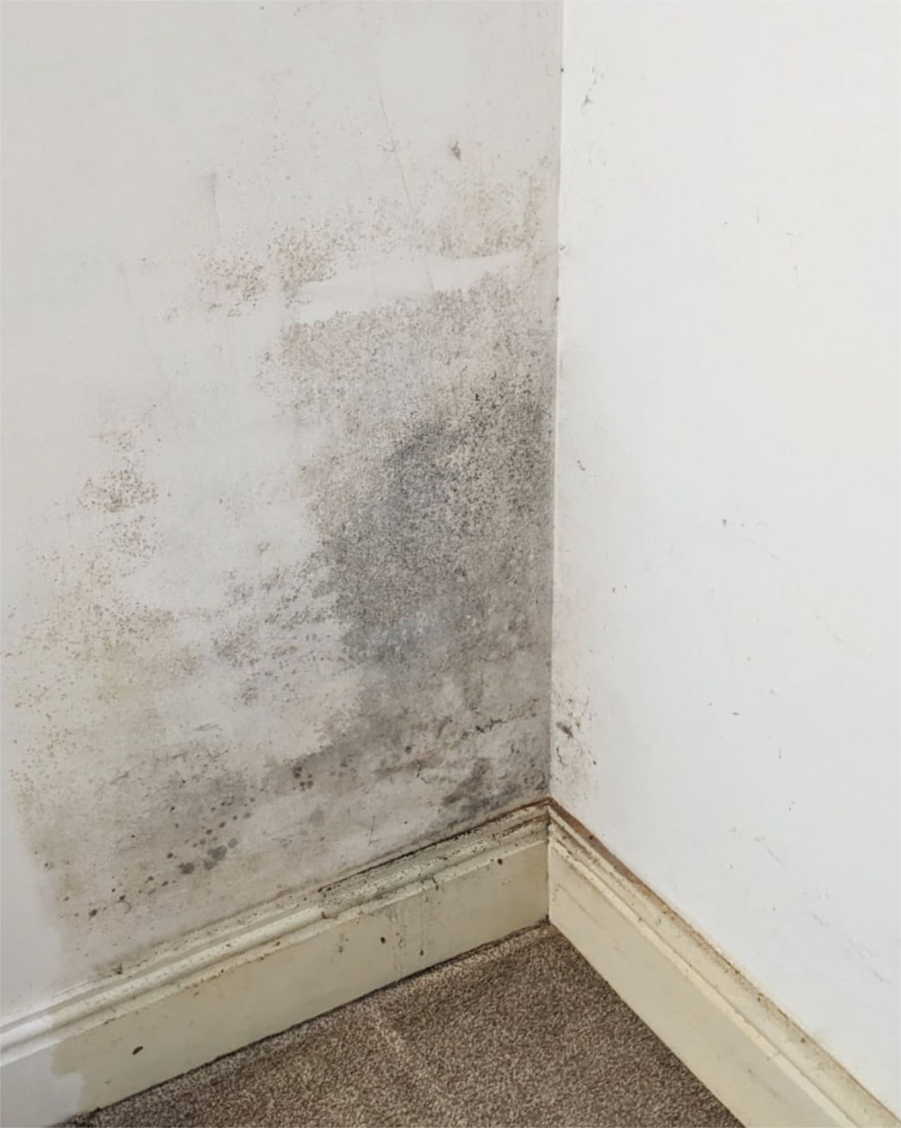 Mould on a bedroom wall