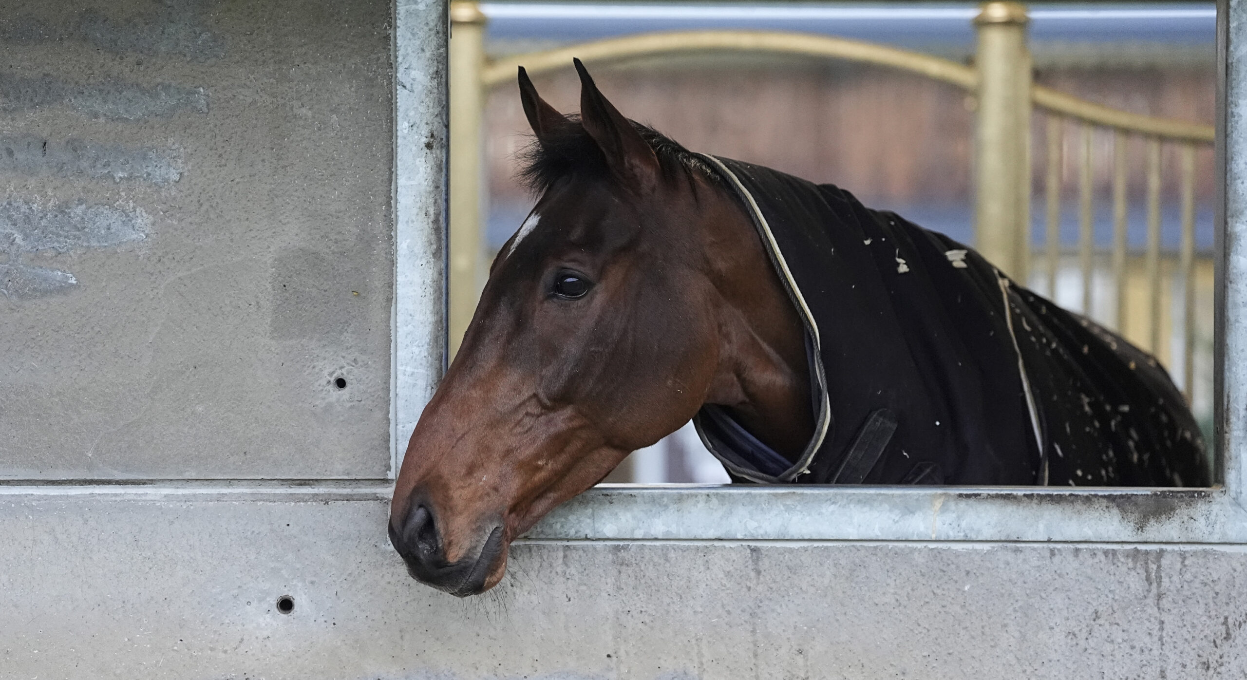 The Jukebox Man looking out of a stable