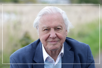 a close up of David Attenborough taken in 2016