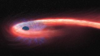 A black hole tears down a star, leaving a long string of star material, which then wraps itself around the black hole. 