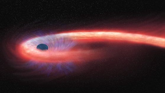 A black hole tears down a star, leaving a long string of star material, which then wraps itself around the black hole. 