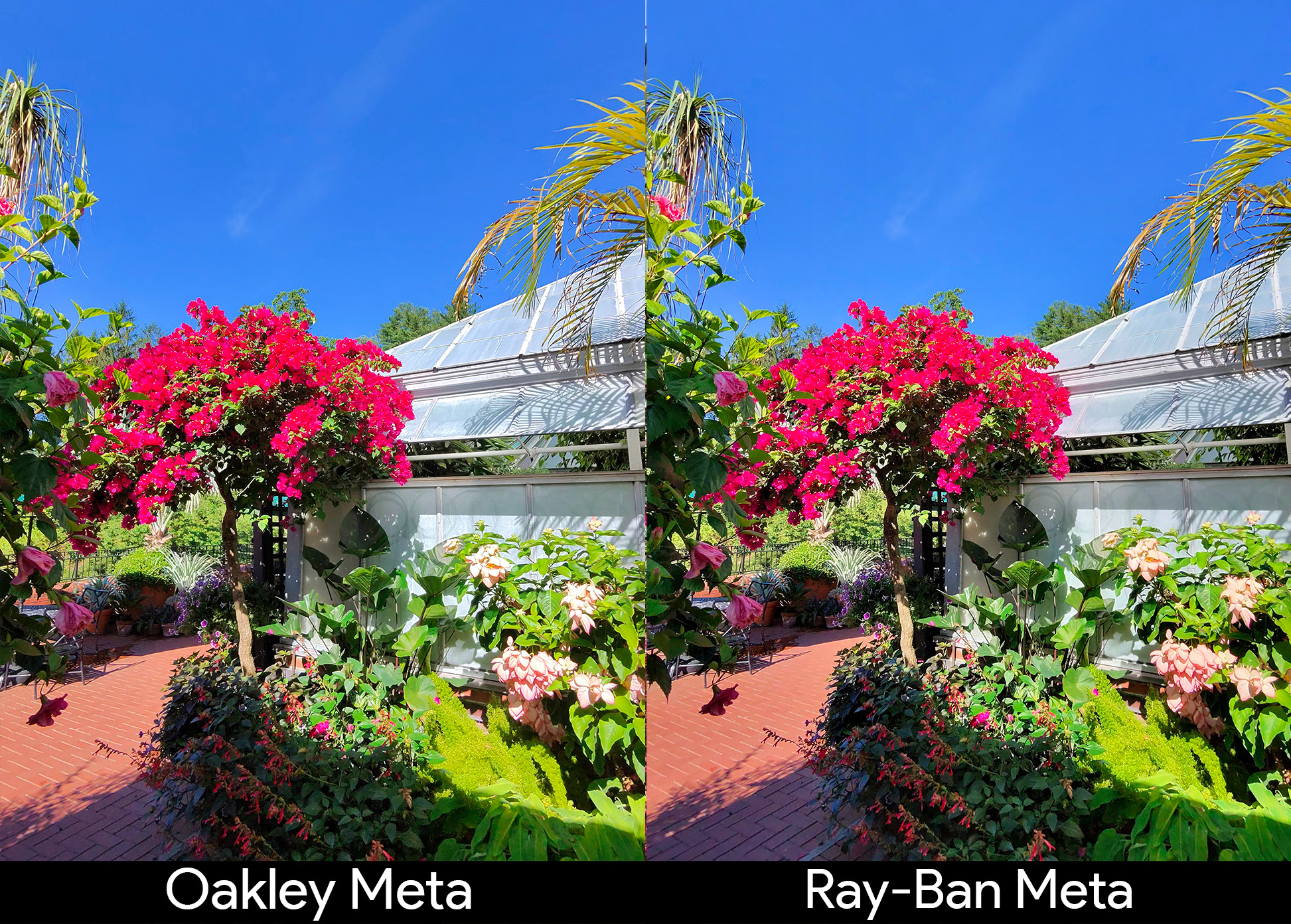 Comparing the picture quality of Oakley Meta HSTN Smart Glasses and Ray-Ban Meta Smart Glasses