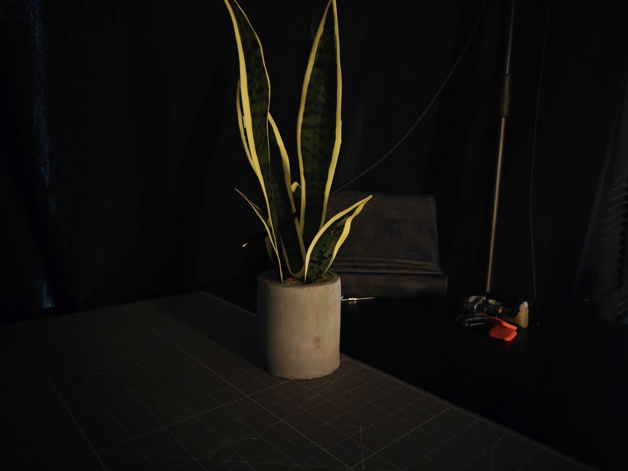 Google Pixel 9a camera sample.