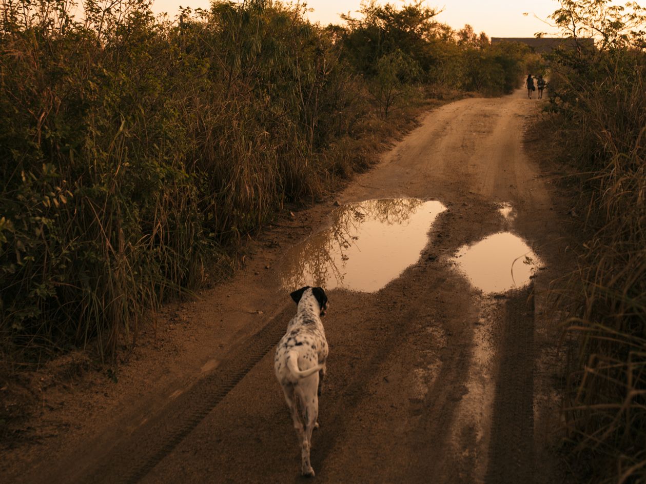 The natural paths of the Casa Wabi grounds