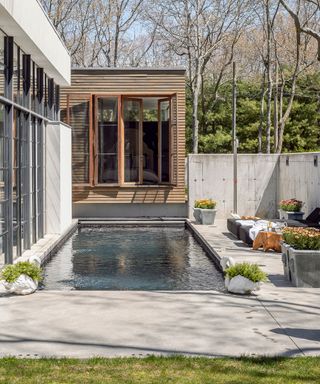 A smal pool area next to glass french doors and exterior walls with wood slats and concrete