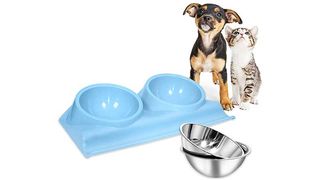 Angled dog food bowl on tray