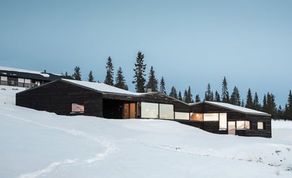 dark timber cabin