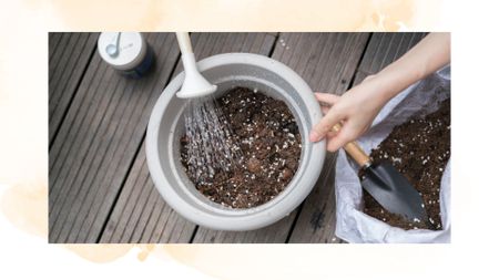 picture of person water compost in a plastic plant pot