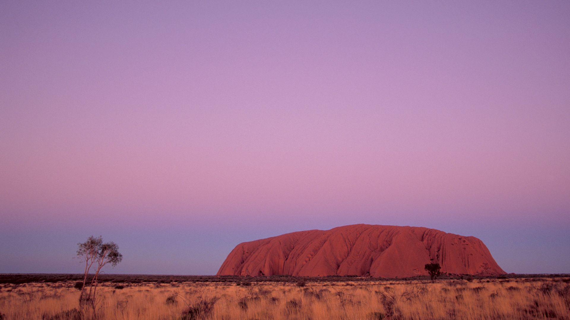 Uluru at dusk