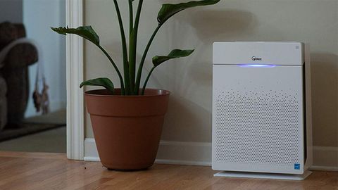 winix pet air purifier