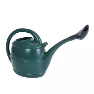 green rounded watering can with a matching green handle and a black nozzle on a white background