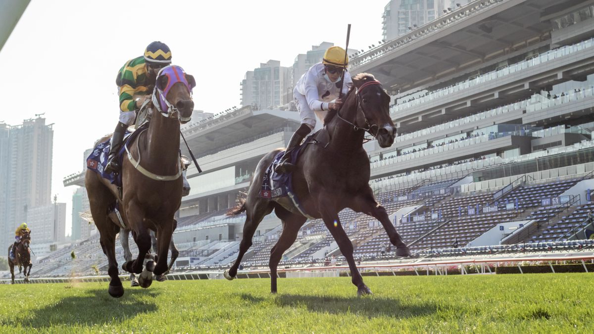 How to watch Hong Kong Gold Cup 2024 live stream the horse race online