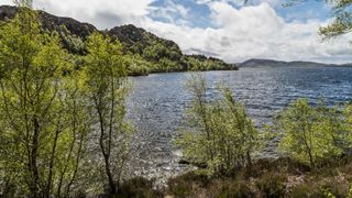 A shot of Loch Duntelchaig in Scotland