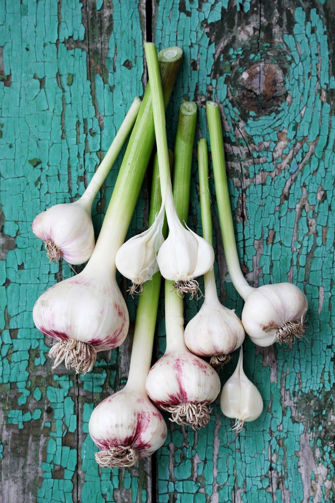 Pile Of Garlic Cloves And Stems