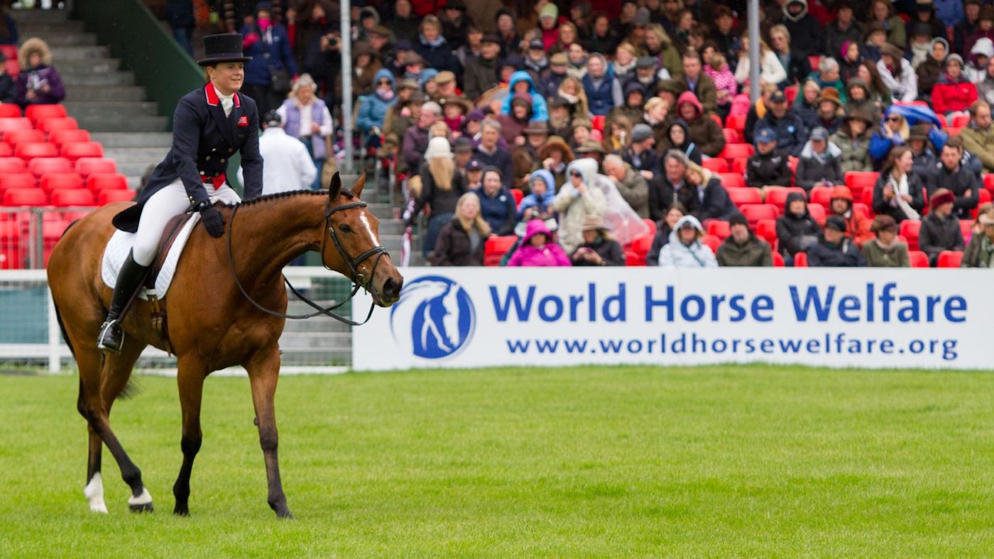 Win a &lsquo;dream&rsquo; ride with one of four Olympic eventers