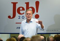 Jeb Bush