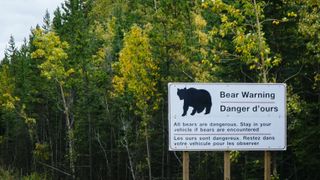 Bear warning sign in Canada