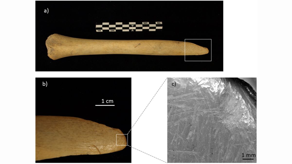 Cup crafted from prehistoric human skull discovered in cave in Spain ...