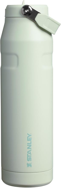 Stanley IceFlow Flip Straw 2.0 Water Bottle (36 oz)