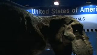 A T-Rex crashes through a customs sign in The Lost World: Jurassic Park