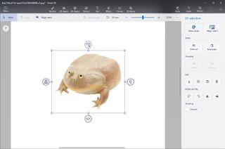 Paint 3d Cut Frog