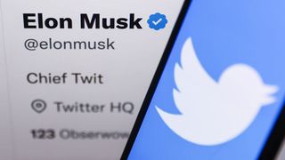 A split screen showing Elon Musk's Twitter Bio on the left, and the Twitter logo (a cartoon bird) on the right