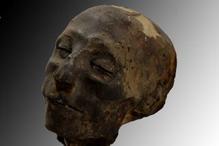 The mummified head of Nebiri, an Egyptian dignitary who lived under the reign of the 18th Dynasty pharaoh Thutmoses III. 