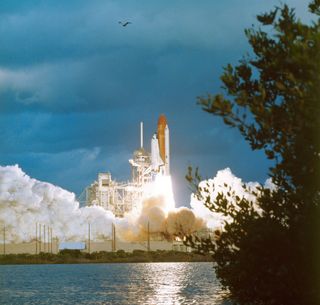 Astronaut Anna Fisher launched into space on the space shuttle Discovery on Nov. 8, 2984 to become NASA's first mom in space. The mission, seen launching here, was STS-51A and was crewed by Fisher, commander Frederick Hauck, pilot David Walker and mission