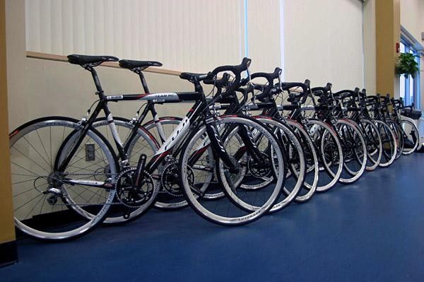 Like presents under a Christmas tree!