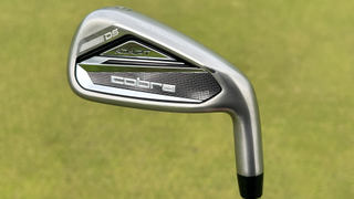 Photo of the Cobra DS-ADAPT Irons