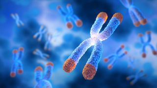 An artist's rendering of chromosomes floating against a blue background with orange tips representing telomeres