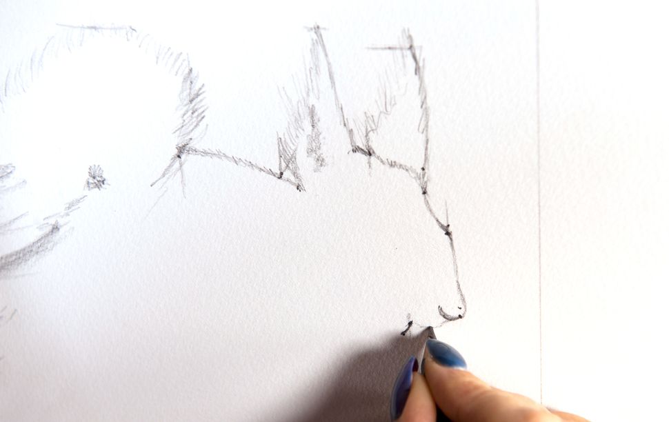 How to use proportional dividers Creative Bloq