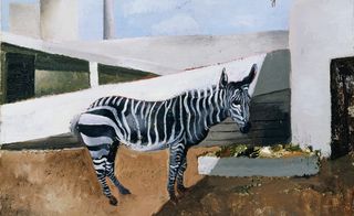 An image of the zebra in the ground