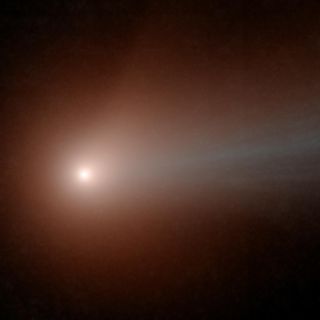 Comet Lovejoy Seen by NEOWISE, Again