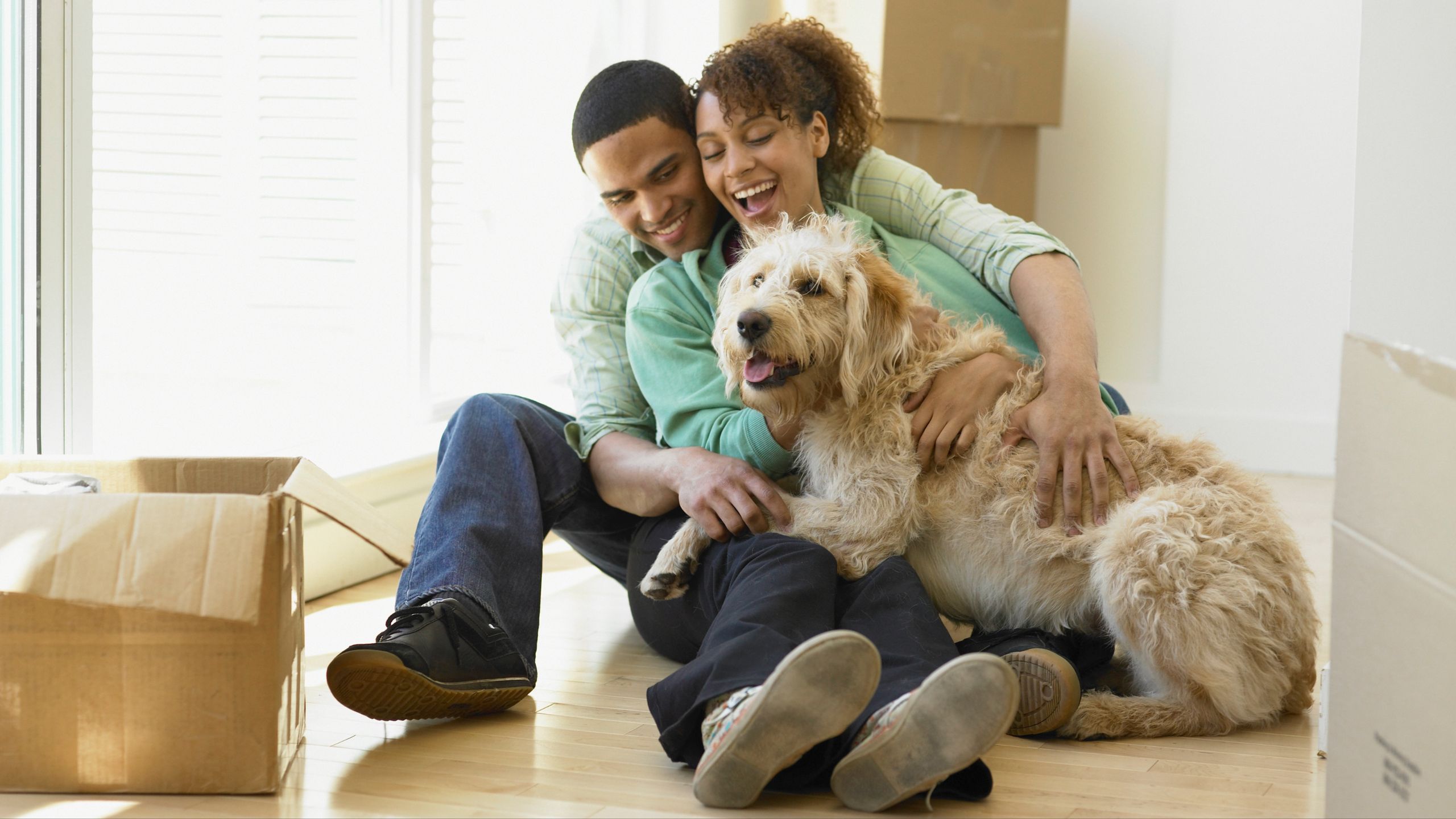 Vet shares five tips to help your dog settle into a new home (and ...