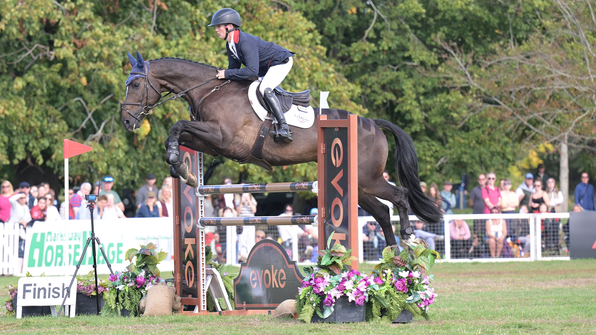 Tom McEwen, a rider in a blue coat, steers The Fieldmaster, a bay horse, over a brown showjump at Blenheim Horse Trials 2026