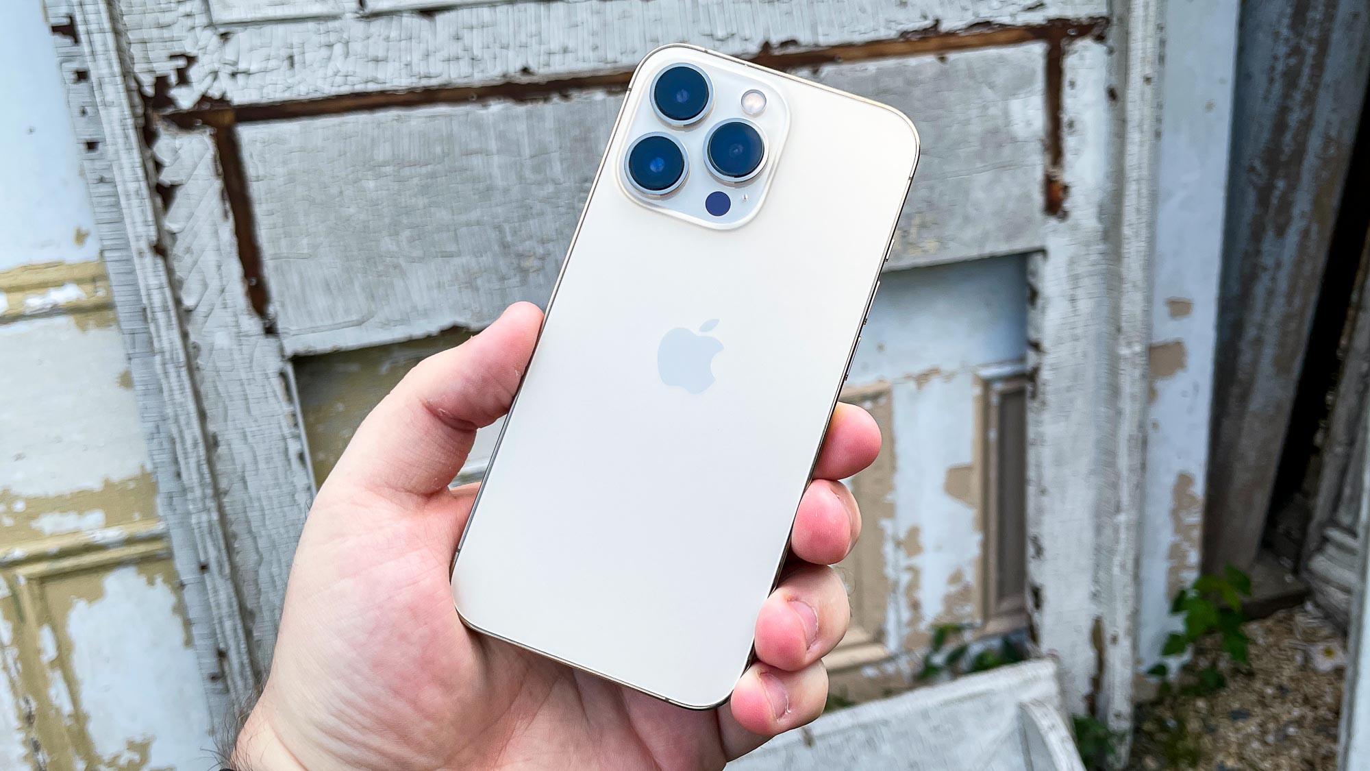 iphone 13 pro back in hand with wood background