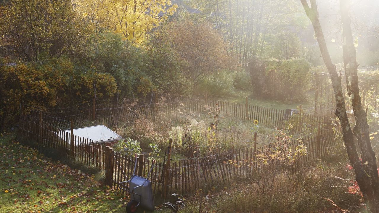 How and why to fertilize a vegetable garden in the fall