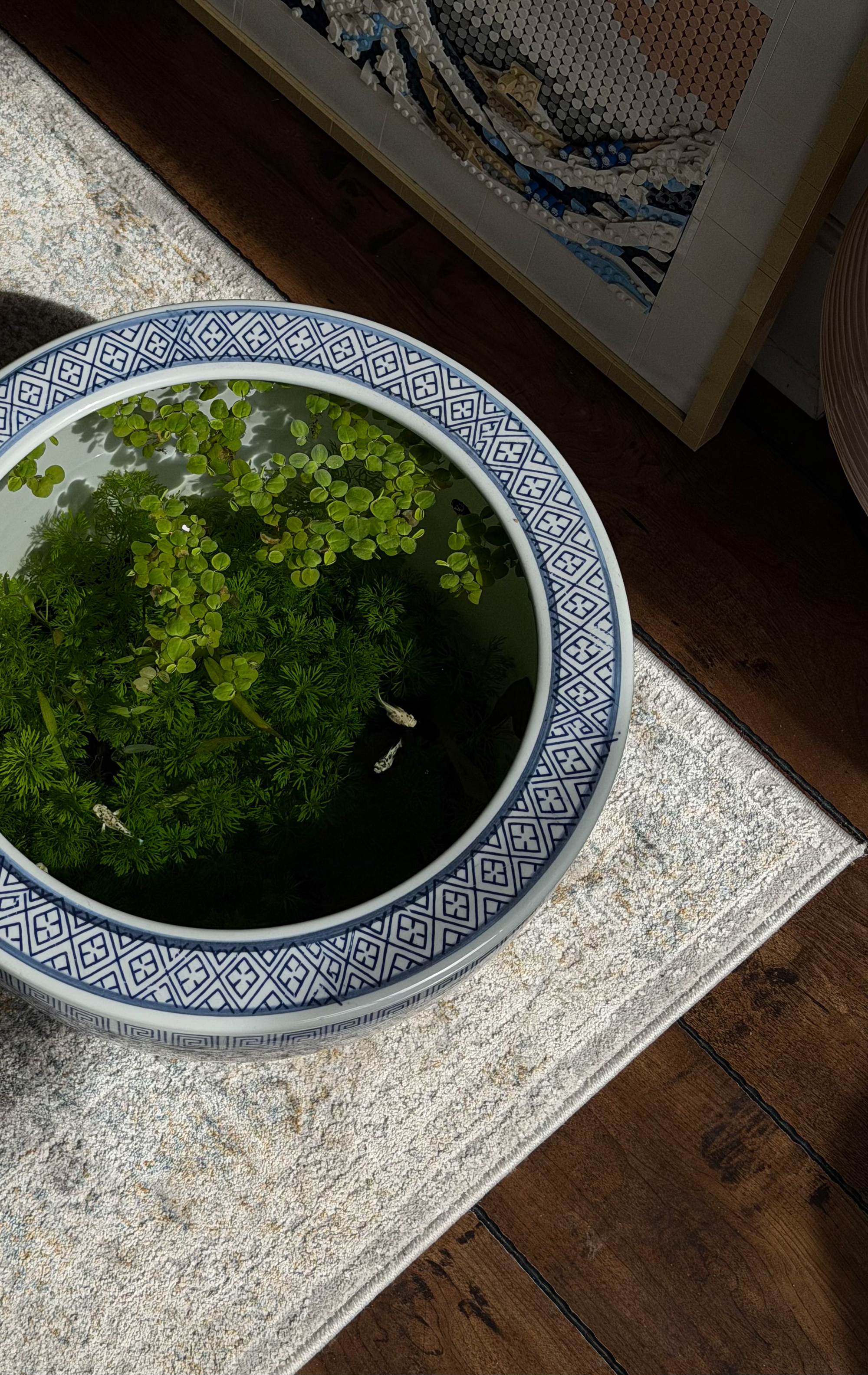 indoor pond in blue-and-white pot on rug in front of artwork
