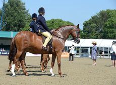 DSC_4799.jpg